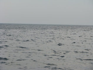 An oil sheen can be seen only a few miles off-shore in western Florida on June, 16th. The darker tone on the top is clean water, the rest sheen.